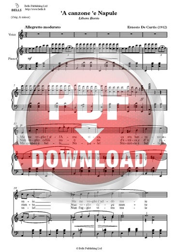 Curtis, Ernesto de: 'A canzone 'e Napule
