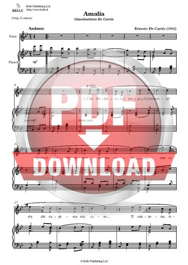 Curtis, Ernesto de: Amalia