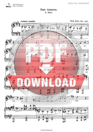 Raitio, V&auml;in&ouml;: Sun tunnen