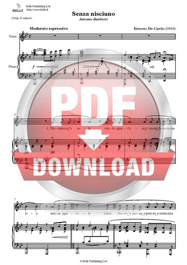 Curtis, Ernesto de: Senza nisciuno